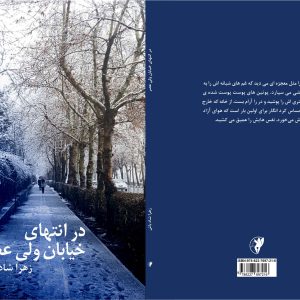 در انتهای خیابان ولیعصر